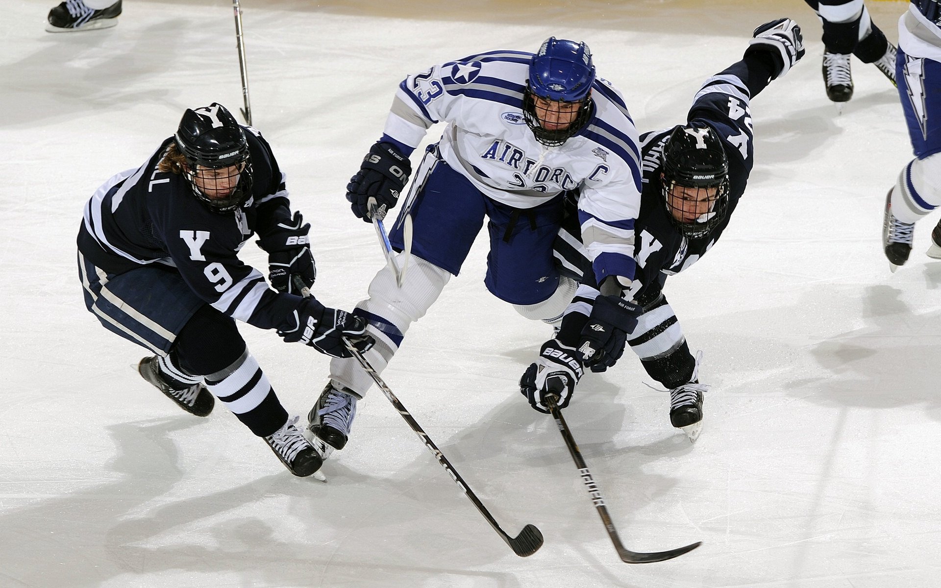 _运动巡游节:沿途赏景、体验多样运动_,游览运动