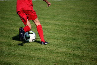 JIU YOU GAME-内线球员在快节奏体系下的功能性演变，内线球员的主要作用