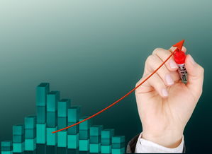 九游9游-体育公益项目影响力持续扩大，体育公益组织