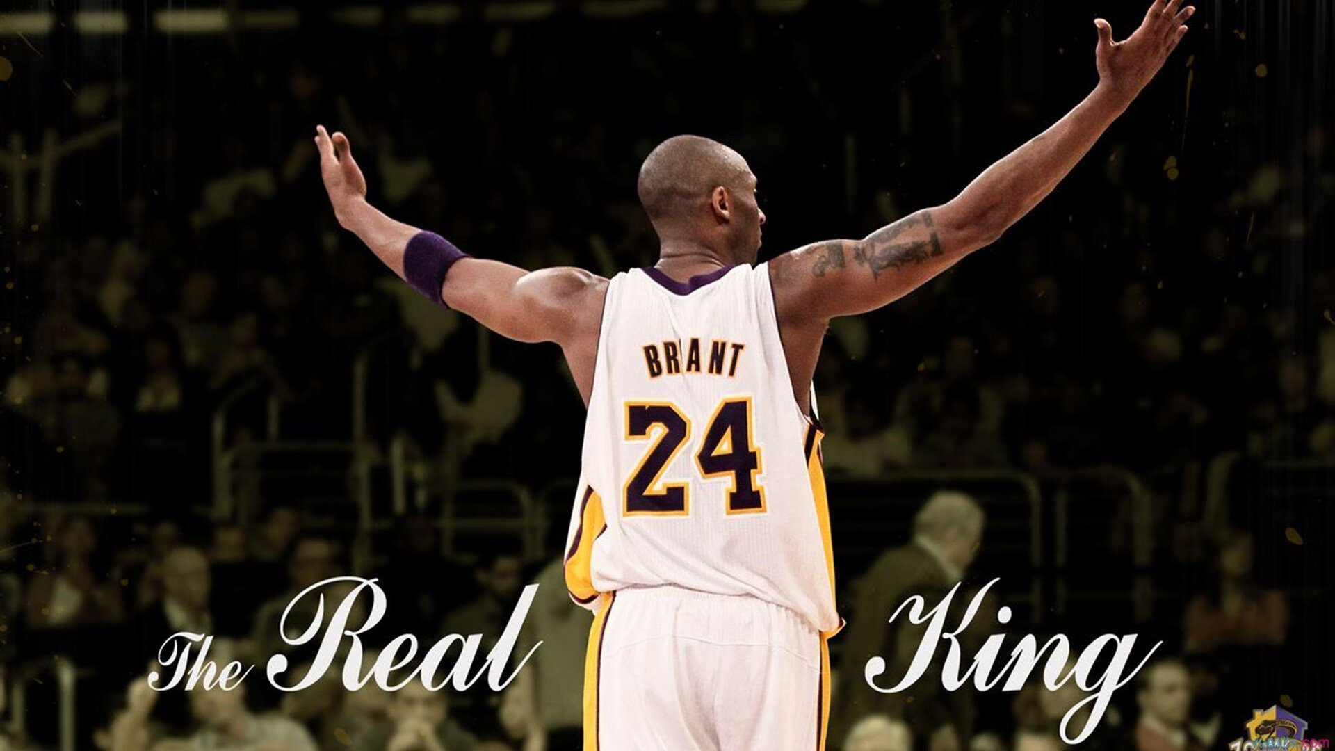 游泳项目虽人数少但技术细节不断完善，游泳需求